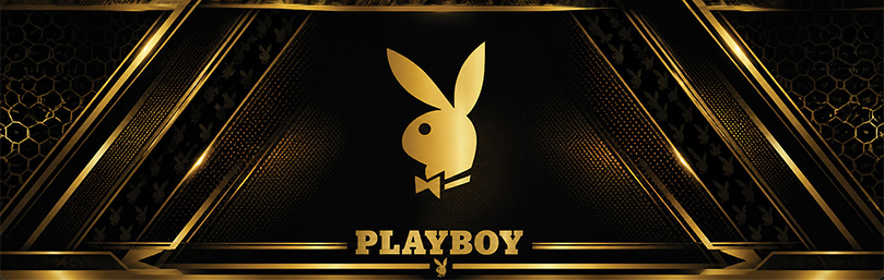 Control panel Playboy